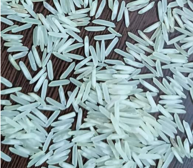 Basmati Rice