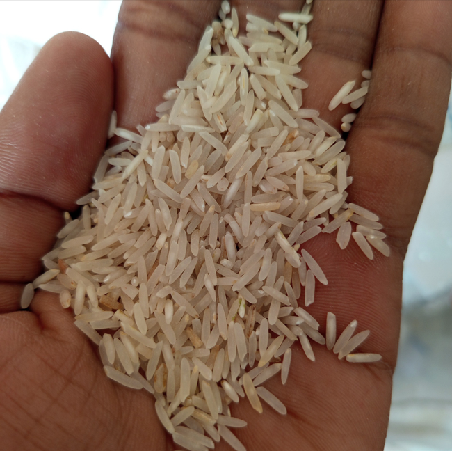 Basmati Rice