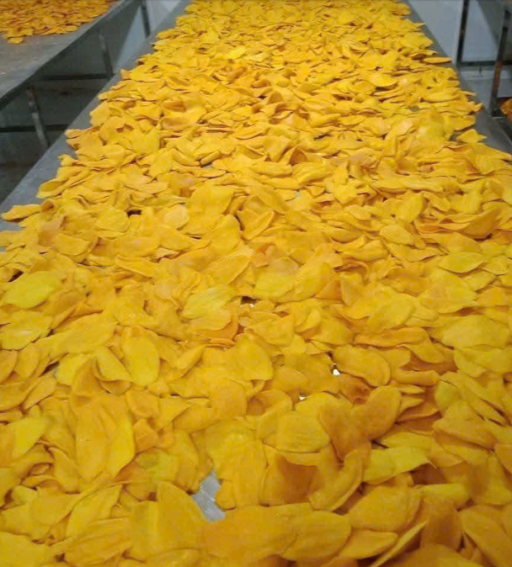 dehydrated mango